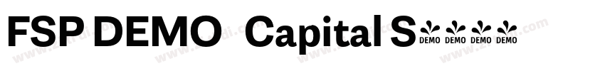 FSP DEMO   Capital S字体转换